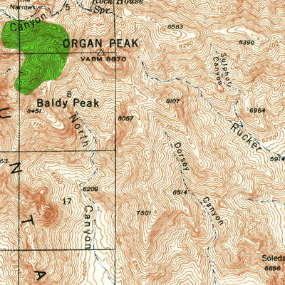 United States Geological Survey Organ Peak, NM (1941, 62500-Scale) digital map