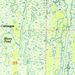 United States Geological Survey Orsino, FL (1951, 24000-Scale) digital map
