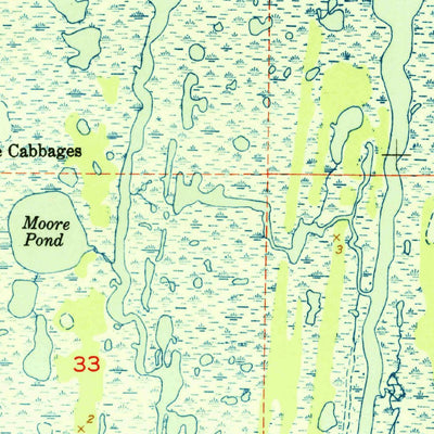 United States Geological Survey Orsino, FL (1951, 24000-Scale) digital map
