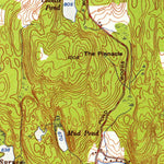 United States Geological Survey Orwell, VT-NY (1949, 24000-Scale) digital map