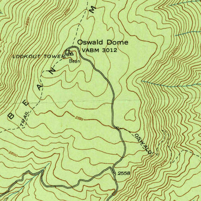 United States Geological Survey Oswald Dome, TN (1938, 24000-Scale) digital map