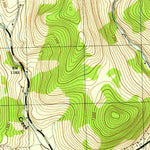 United States Geological Survey Otego, NY (1945, 31680-Scale) digital map