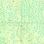 United States Geological Survey Owens Bridge, FL (1990, 24000-Scale) digital map