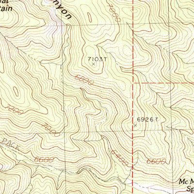 United States Geological Survey P A Mountain, NM (1985, 24000-Scale) digital map