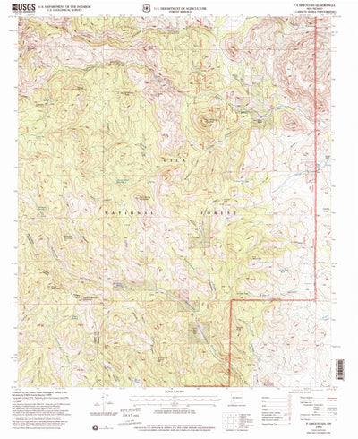 United States Geological Survey P A Mountain, NM (1999, 24000-Scale) digital map
