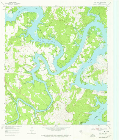United States Geological Survey Pace Bend, TX (1967, 24000-Scale) digital map