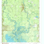 United States Geological Survey Pace Hill, TX (1984, 24000-Scale) digital map