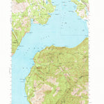 United States Geological Survey Packsaddle Mountain, ID (1949, 62500-Scale) digital map
