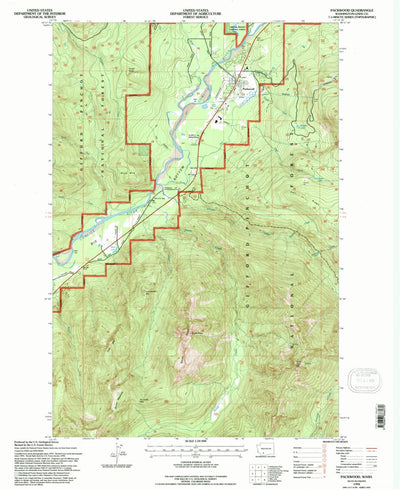 United States Geological Survey Packwood, WA (1994, 24000-Scale) digital map