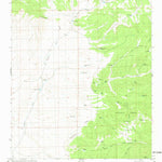 United States Geological Survey Paddys Hole, NM (1981, 24000-Scale) digital map