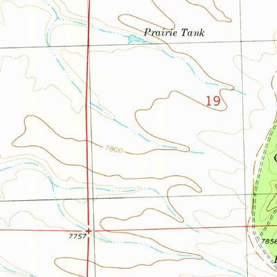 United States Geological Survey Paddys Hole, NM (1981, 24000-Scale) digital map