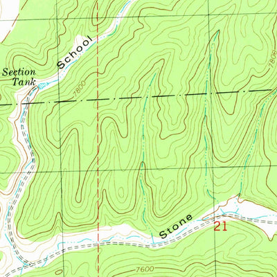 United States Geological Survey Paddys Hole, NM (1981, 24000-Scale) digital map