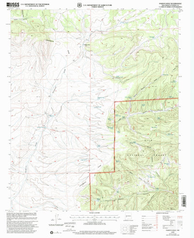 United States Geological Survey Paddys Hole, NM (1999, 24000-Scale) digital map