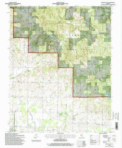 United States Geological Survey Paducah NE, IL (1996, 24000-Scale) digital map
