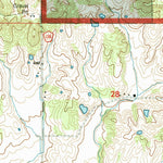 United States Geological Survey Paducah NE, IL (1996, 24000-Scale) digital map
