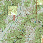 United States Geological Survey Paducah NE, IL (1996, 24000-Scale) digital map