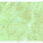 United States Geological Survey Page Mountain, NY (1990, 25000-Scale) digital map