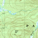 United States Geological Survey Page Mountain, NY (1990, 25000-Scale) digital map