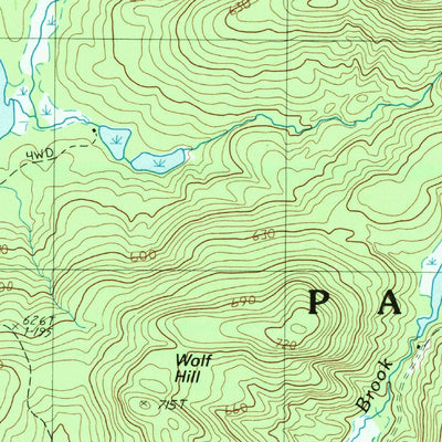 United States Geological Survey Page Mountain, NY (1990, 25000-Scale) digital map