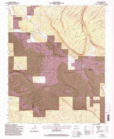 United States Geological Survey Page, NM (1995, 24000-Scale) digital map