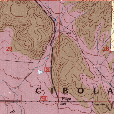 United States Geological Survey Page, NM (1995, 24000-Scale) digital map