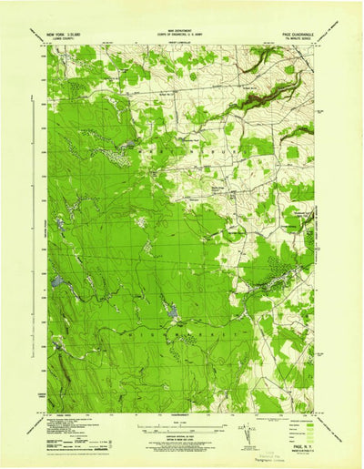 United States Geological Survey Page, NY (1944, 31680-Scale) digital map