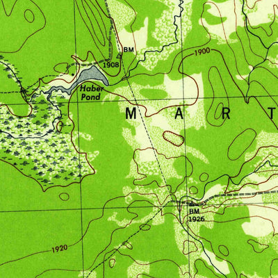United States Geological Survey Page, NY (1944, 31680-Scale) digital map