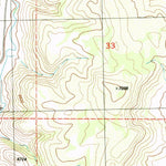 United States Geological Survey Pagosa Junction, CO-NM (1984, 24000-Scale) digital map