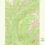 United States Geological Survey Pahaska Tepee, WY (1989, 24000-Scale) digital map