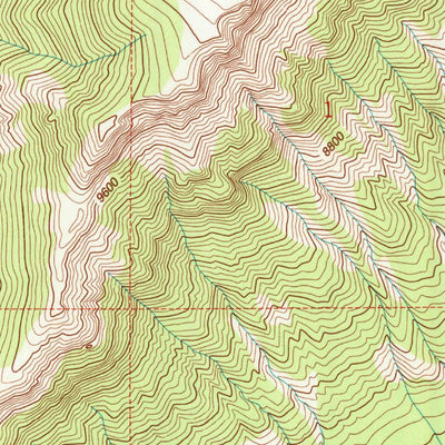 United States Geological Survey Pahaska Tepee, WY (1991, 24000-Scale) digital map