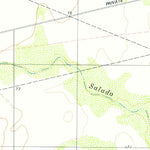 United States Geological Survey Paisano Lake, TX (1979, 24000-Scale) digital map