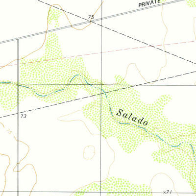 United States Geological Survey Paisano Lake, TX (1979, 24000-Scale) digital map
