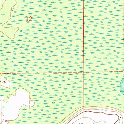 United States Geological Survey Paisley, FL (1965, 24000-Scale) digital map