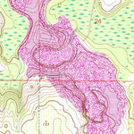 United States Geological Survey Paisley, FL (1965, 24000-Scale) digital map