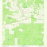 United States Geological Survey Palito Blanco, TX (1963, 24000-Scale) digital map
