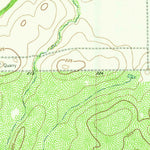 United States Geological Survey Palito Blanco, TX (1963, 24000-Scale) digital map
