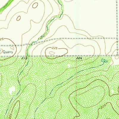 United States Geological Survey Palito Blanco, TX (1963, 24000-Scale) digital map