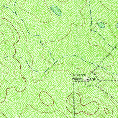 United States Geological Survey Palito Blanco, TX (1963, 24000-Scale) digital map