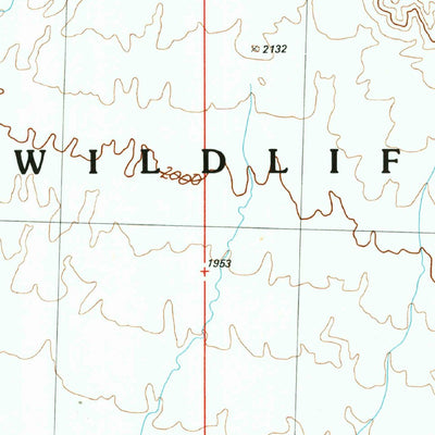 United States Geological Survey Palm Canyon, AZ (1990, 24000-Scale) digital map