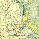 United States Geological Survey Palm Valley, FL (1918, 62500-Scale) digital map