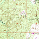 United States Geological Survey Palmetto, GA (1954, 24000-Scale) digital map