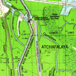 United States Geological Survey Palmetto, LA (1959, 62500-Scale) digital map