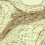 United States Geological Survey Palmito Hill, TX (1929, 24000-Scale) digital map