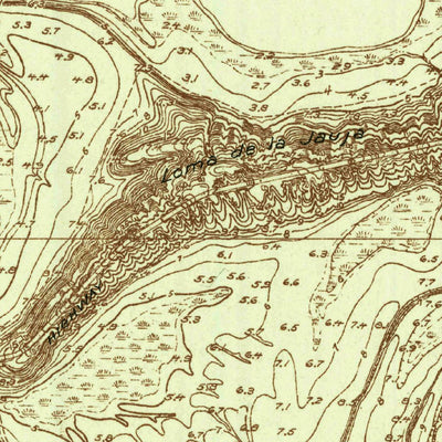 United States Geological Survey Palmito Hill, TX (1929, 24000-Scale) digital map