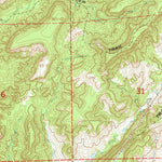 United States Geological Survey Palo Cedro, CA (1965, 24000-Scale) digital map