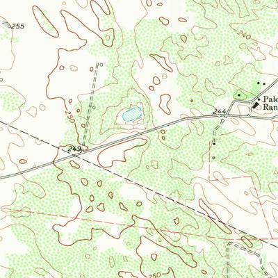 United States Geological Survey Palomas Ranch, TX (1968, 24000-Scale) digital map