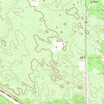 United States Geological Survey Palomas Ranch, TX (1968, 24000-Scale) digital map