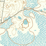 United States Geological Survey Panasoffkee, FL (1893, 62500-Scale) digital map