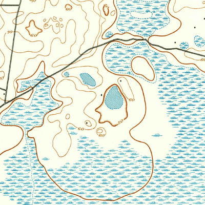United States Geological Survey Panasoffkee, FL (1893, 62500-Scale) digital map