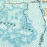 United States Geological Survey Panasoffkee, FL (1893, 62500-Scale) digital map